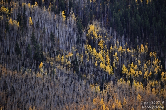 Mountainous_Landscape_In_Eagle_County_Fall_Season_Colorado_USA_Western_USA_Nature_Photography_Canon_EOS_R5_Mark_II_2025_053.JPG