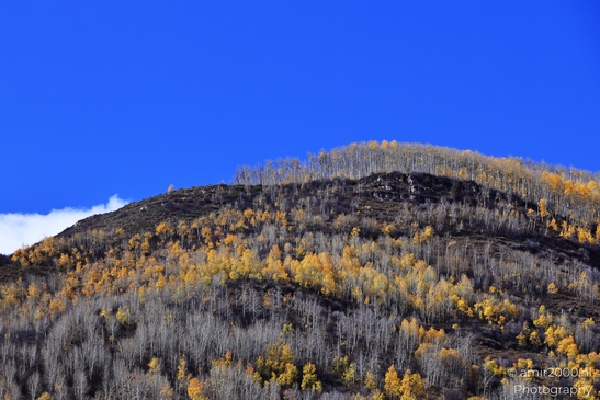 Mountainous_Landscape_In_Eagle_County_Fall_Season_Colorado_USA_Western_USA_Nature_Photography_Canon_EOS_R5_Mark_II_2025_054.JPG