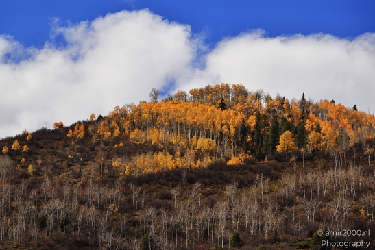 Mountainous_Landscape_In_Eagle_County_Fall_Season_Colorado_USA_Western_USA_Nature_Photography_Canon_EOS_R5_Mark_II_2025_055.JPG