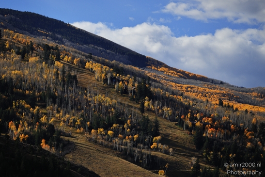 Mountainous_Landscape_In_Eagle_County_Fall_Season_Colorado_USA_Western_USA_Nature_Photography_Canon_EOS_R5_Mark_II_2025_065.JPG