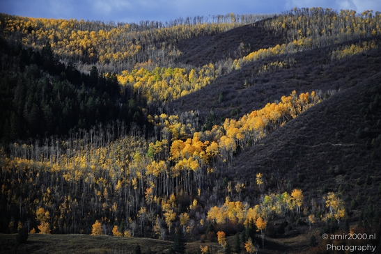 Mountainous_Landscape_In_Eagle_County_Fall_Season_Colorado_USA_Western_USA_Nature_Photography_Canon_EOS_R5_Mark_II_2025_066.JPG