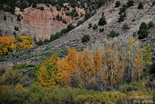 Mountainous_Landscape_In_Eagle_County_Fall_Season_Colorado_USA_Western_USA_Nature_Photography_Canon_EOS_R5_Mark_II_2025_073.JPG