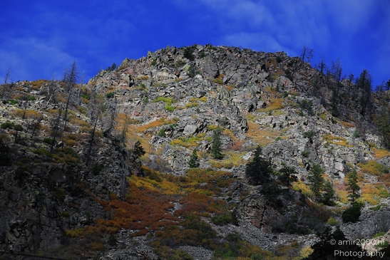 Mountainous_Landscape_In_Eagle_County_Fall_Season_Colorado_USA_Western_USA_Nature_Photography_Canon_EOS_R5_Mark_II_2025_076.JPG