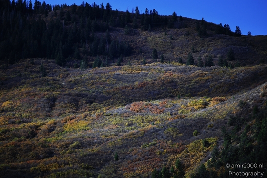 Mountainous_Landscape_In_Eagle_County_Fall_Season_Colorado_USA_Western_USA_Nature_Photography_Canon_EOS_R5_Mark_II_2025_077.JPG