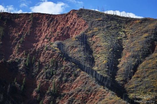 Mountainous_Landscape_In_Eagle_County_Fall_Season_Colorado_USA_Western_USA_Nature_Photography_Canon_EOS_R5_Mark_II_2025_081.JPG