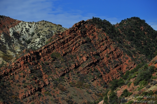 Mountainous_Landscape_In_Eagle_County_Fall_Season_Colorado_USA_Western_USA_Nature_Photography_Canon_EOS_R5_Mark_II_2025_084.JPG