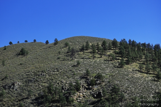 Mountains_Area_Around_Estes_Park_Colorado_USA_Western_USA_Nature_Photography_Canon_EOS_R5_Mark_II_2025_007.JPG