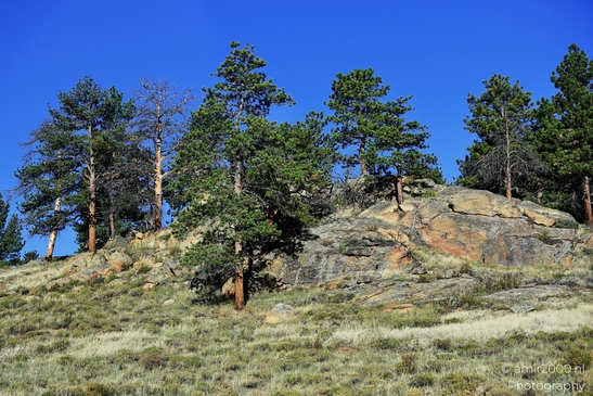 Mountains_Area_Before_Estes_Park_Colorado_USA_Western_USA_Nature_Photography_Canon_EOS_R5_Mark_II_2025_006.JPG