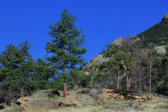 Mountains_Area_Before_Estes_Park_Colorado_USA_Western_USA_Nature_Photography_Canon_EOS_R5_Mark_II_2025_007.JPG