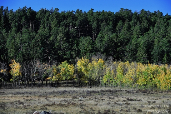 Mountains_Area_Before_Estes_Park_Colorado_USA_Western_USA_Nature_Photography_Canon_EOS_R5_Mark_II_2025_009.JPG
