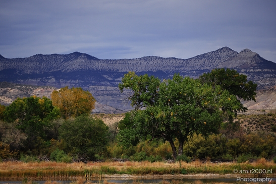 Mountains_Green_And_Water_Colorado_USA_Western_USA_Nature_Photography_Canon_EOS_R5_Mark_II_2025_001.JPG