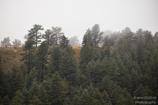 Mountains_In_Foggy_Weather_Colorado_USA_Western_USA_Nature_Photography_Canon_EOS_R5_Mark_II_2025_009.JPG