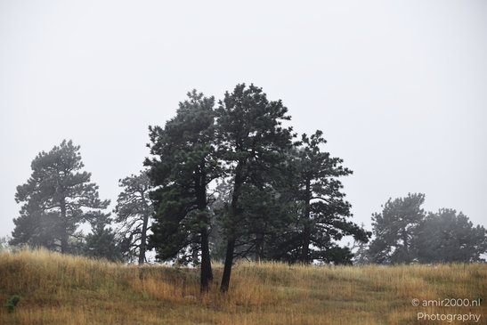 Mountains_In_Foggy_Weather_Colorado_USA_Western_USA_Nature_Photography_Canon_EOS_R5_Mark_II_2025_011.JPG