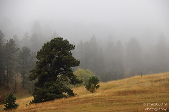 Mountains_In_Foggy_Weather_Colorado_USA_Western_USA_Nature_Photography_Canon_EOS_R5_Mark_II_2025_012.JPG