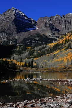 Pika_mountain_dwelling_mammals_Maroon_Bells_Aspen_Colorado_Animal_Photography_Western_USA_Nature_Photography_Canon_EOS_R5_Mark_II_2025_001.JPG