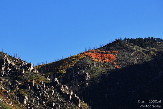 Pikes_Peak_Highway_Scenic_Views_Colorado_Springs_Colorado_USA_Western_USA_Nature_Photography_Canon_EOS_R5_Mark_II_2025_014.JPG