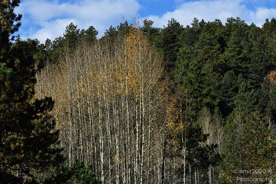 Pikes_Peak_Highway_Scenic_Views_Colorado_Springs_Colorado_USA_Western_USA_Nature_Photography_Canon_EOS_R5_Mark_II_2025_021.JPG