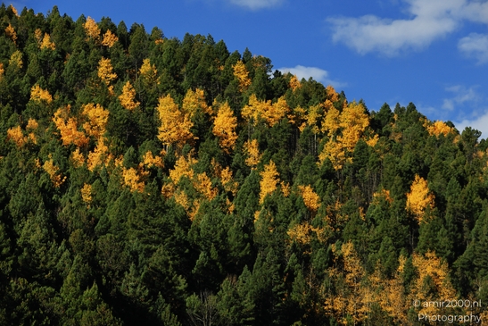 Pikes_Peak_Highway_Scenic_Views_Colorado_Springs_Colorado_USA_Western_USA_Nature_Photography_Canon_EOS_R5_Mark_II_2025_024.JPG
