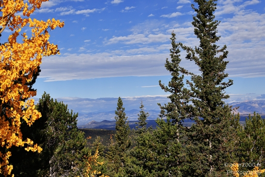 Pikes_Peak_Highway_Scenic_Views_Colorado_Springs_Colorado_USA_Western_USA_Nature_Photography_Canon_EOS_R5_Mark_II_2025_059.JPG