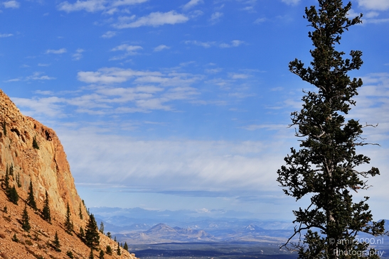 Pikes_Peak_Highway_Scenic_Views_Colorado_Springs_Colorado_USA_Western_USA_Nature_Photography_Canon_EOS_R5_Mark_II_2025_077.JPG
