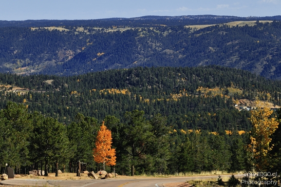 Pikes_Peak_Highway_Scenic_Views_Colorado_Springs_Colorado_USA_Western_USA_Nature_Photography_Canon_EOS_R5_Mark_II_2025_127.JPG