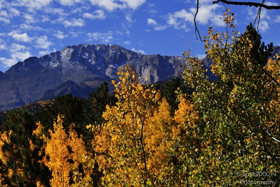 Pikes_Peak_Highway_Scenic_Views_Colorado_Springs_Colorado_USA_Western_USA_Nature_Photography_Canon_EOS_R5_Mark_II_2025_137.JPG
