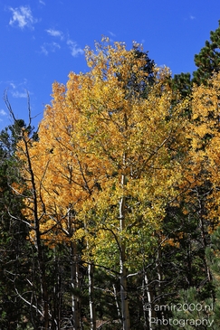 Pikes_Peak_Highway_Scenic_Views_Colorado_Springs_Colorado_USA_Western_USA_Nature_Photography_Canon_EOS_R5_Mark_II_2025_138.JPG