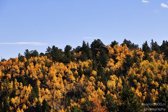 Pikes_Peak_Highway_Scenic_Views_Colorado_Springs_Colorado_USA_Western_USA_Nature_Photography_Canon_EOS_R5_Mark_II_2025_141.JPG