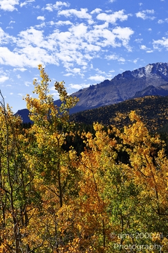 Pikes_Peak_Highway_Scenic_Views_Colorado_Springs_Colorado_USA_Western_USA_Nature_Photography_Canon_EOS_R5_Mark_II_2025_142.JPG