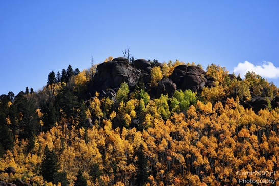 Pikes_Peak_Highway_Scenic_Views_Colorado_Springs_Colorado_USA_Western_USA_Nature_Photography_Canon_EOS_R5_Mark_II_2025_151.JPG