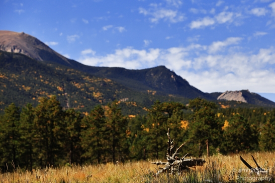 Pikes_Peak_Highway_Scenic_Views_Colorado_Springs_Colorado_USA_Western_USA_Nature_Photography_Canon_EOS_R5_Mark_II_2025_153.JPG