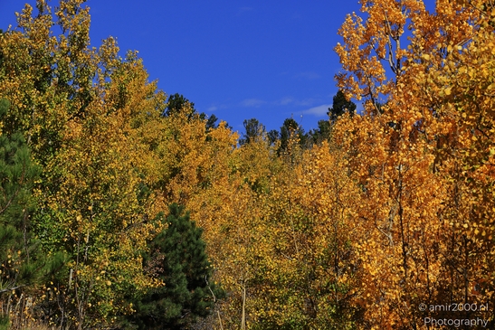 Pikes_Peak_Highway_Scenic_Views_Colorado_Springs_Colorado_USA_Western_USA_Nature_Photography_Canon_EOS_R5_Mark_II_2025_175.JPG