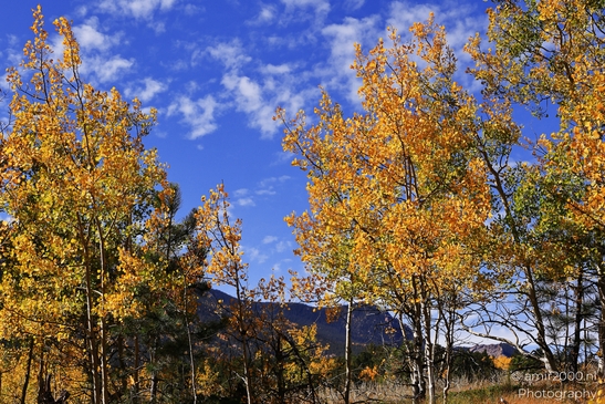 Pikes_Peak_Highway_Scenic_Views_Colorado_Springs_Colorado_USA_Western_USA_Nature_Photography_Canon_EOS_R5_Mark_II_2025_176.JPG