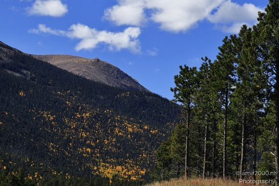 Pikes_Peak_Highway_Scenic_Views_Colorado_Springs_Colorado_USA_Western_USA_Nature_Photography_Canon_EOS_R5_Mark_II_2025_194.JPG