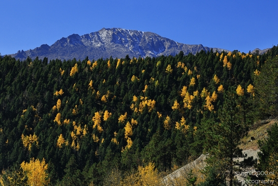 Pikes_Peak_Highway_Scenic_Views_Colorado_Springs_Colorado_USA_Western_USA_Nature_Photography_Canon_EOS_R5_Mark_II_2025_198.JPG