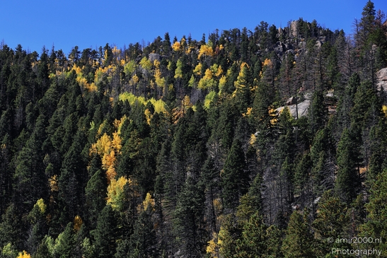 Pikes_Peak_Highway_Scenic_Views_Colorado_Springs_Colorado_USA_Western_USA_Nature_Photography_Canon_EOS_R5_Mark_II_2025_208.JPG