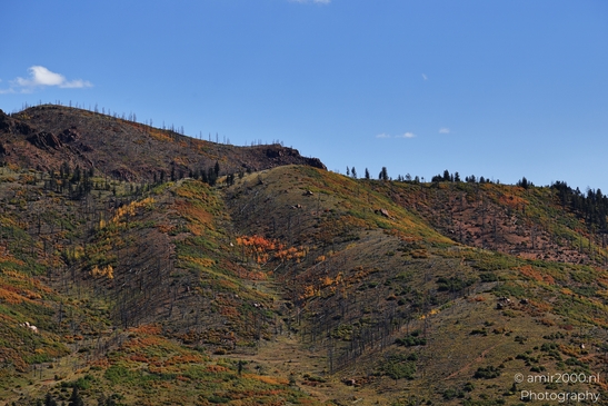 Pikes_Peak_Highway_Scenic_Views_Colorado_Springs_Colorado_USA_Western_USA_Nature_Photography_Canon_EOS_R5_Mark_II_2025_218.JPG
