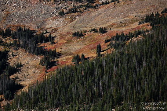 Rainbow_Curve_Overlook_Rocky_Mountain_National_Park_Colorado_Western_USA_Nature_Photography_Canon_EOS_R5_Mark_II_2025_012.JPG