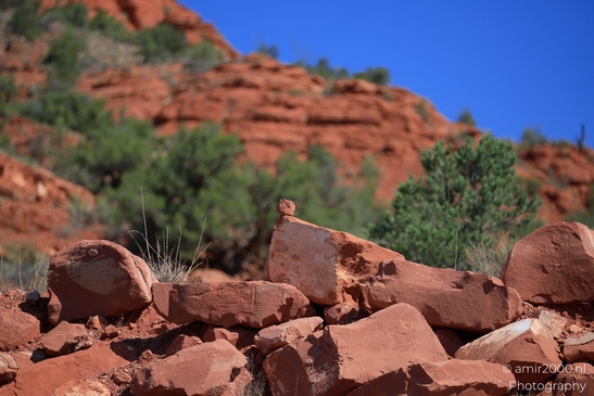 Red_Rock_State_Park_Sedona_Arizona_USA_Western_USA_Nature_Photography_Canon_EOS_R5_Mark_II_2025_013.JPG