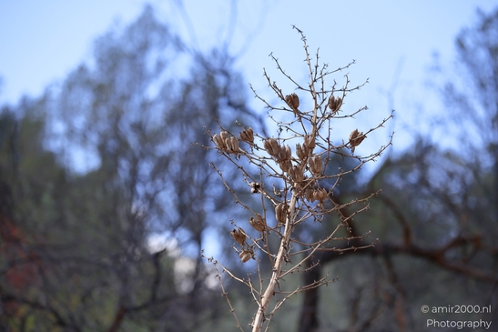 Red_Rock_State_Park_Sedona_Arizona_USA_Western_USA_Nature_Photography_Canon_EOS_R5_Mark_II_2025_030.JPG