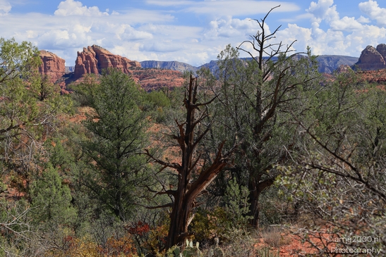 Red_Rock_State_Park_Sedona_Arizona_USA_Western_USA_Nature_Photography_Canon_EOS_R5_Mark_II_2025_048.JPG