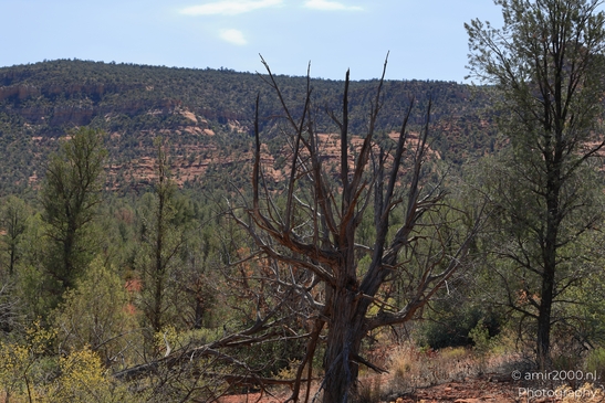 Red_Rock_State_Park_Sedona_Arizona_USA_Western_USA_Nature_Photography_Canon_EOS_R5_Mark_II_2025_049.JPG