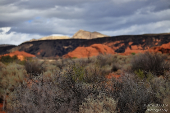 Sand_Dunes_Snow_Canyon_State_Park_St_George_Utah_Western_USA_Nature_Photography_Canon_EOS_R5_Mark_II_2025_007.JPG