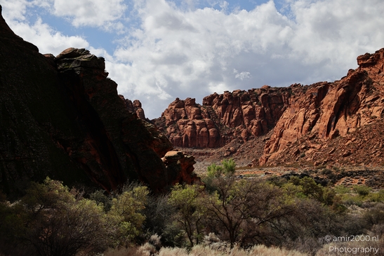 Sand_Dunes_Snow_Canyon_State_Park_St_George_Utah_Western_USA_Nature_Photography_Canon_EOS_R5_Mark_II_2025_015.JPG