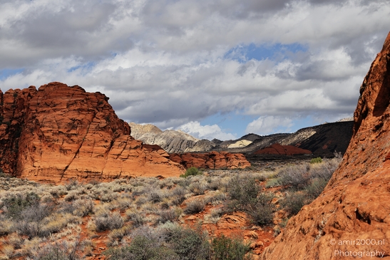Sand_Dunes_Snow_Canyon_State_Park_St_George_Utah_Western_USA_Nature_Photography_Canon_EOS_R5_Mark_II_2025_024.JPG