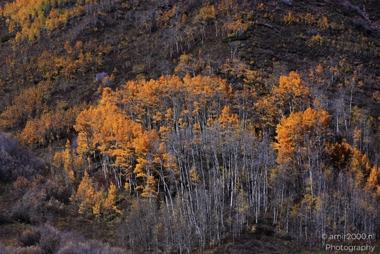 Sievers_Mountain_South_Maroon_Bells_Aspen_Colorado_Western_USA_Nature_Photography_Canon_EOS_R5_Mark_II_2025_017.JPG