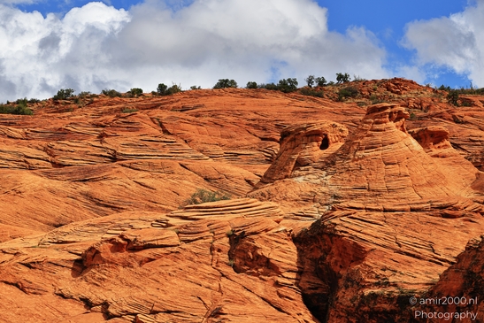 Snow_Canyon_Scenic_Overlook_St_George_Utah_Western_USA_Nature_Photography_Canon_EOS_R5_Mark_II_2025_006.JPG