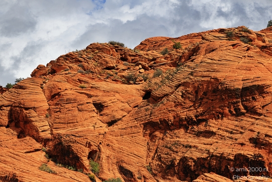 Snow_Canyon_Scenic_Overlook_St_George_Utah_Western_USA_Nature_Photography_Canon_EOS_R5_Mark_II_2025_007.JPG