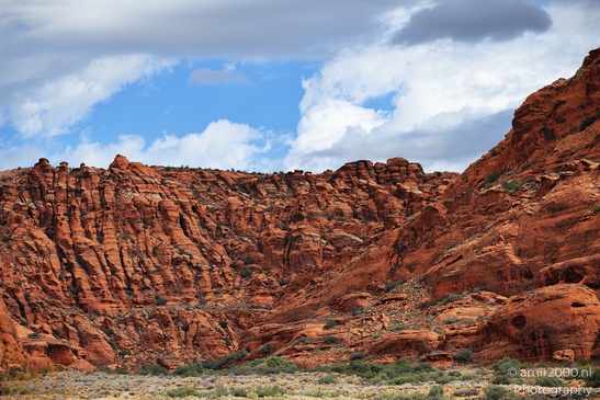 Snow_Canyon_State_Park_St_George_Utah_Western_USA_Nature_Photography_Canon_EOS_R5_Mark_II_2025_002.JPG