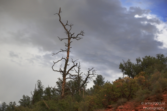 Stormy_Sunset_Weather_Sedona_Arizona_USA_Western_USA_Nature_Photography_Canon_EOS_R5_Mark_II_2025_004.JPG
